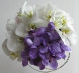 BUCHET VANDA BLUE MAGIC SI PHALAENOPSIS