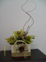 ARANJAMENT CYMBIDIUM SI VAX