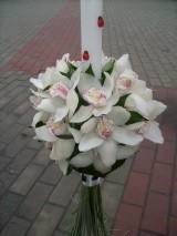 lumanare cymbidium alb