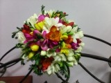 Buchet frezie color