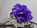 Buchet vanda albastra si hortensie alba